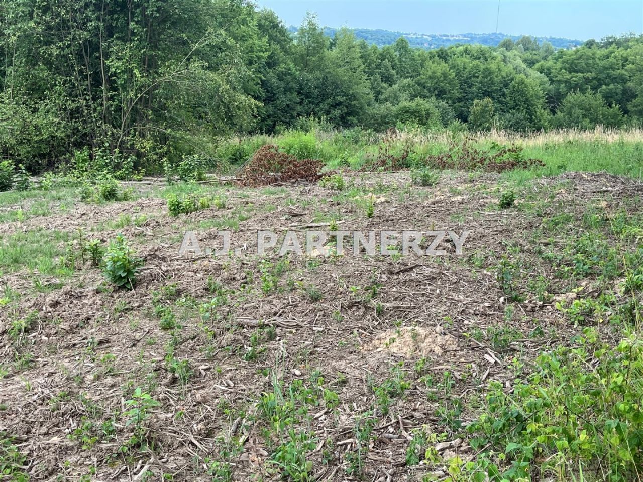 Działka budowlana Golkowice. Zdjęcie 3