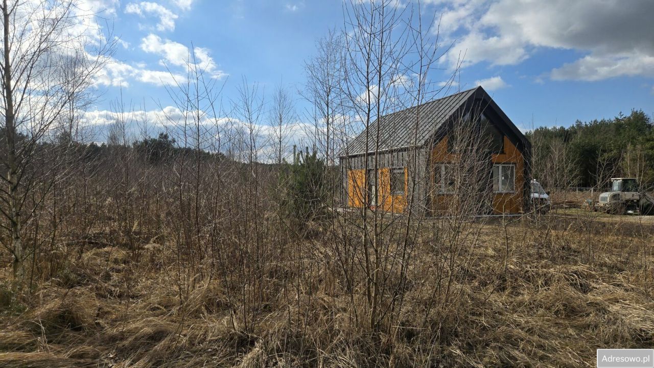 Działka Leśna. Zdjęcie 5