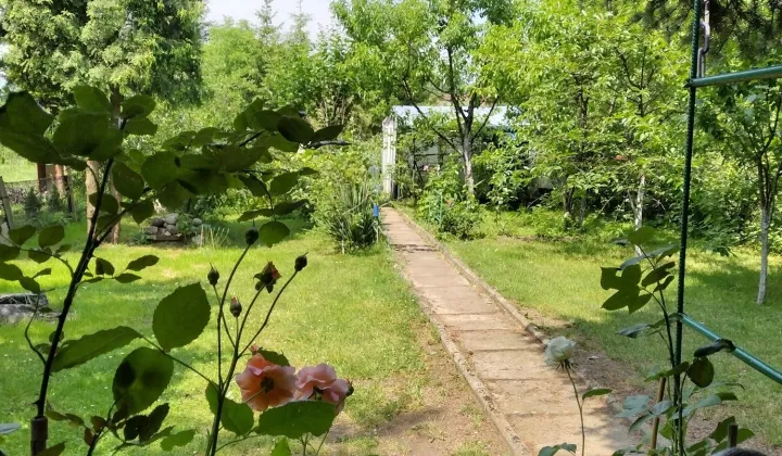 Działka rod Zawiercie, ul. Rzemieślnicza