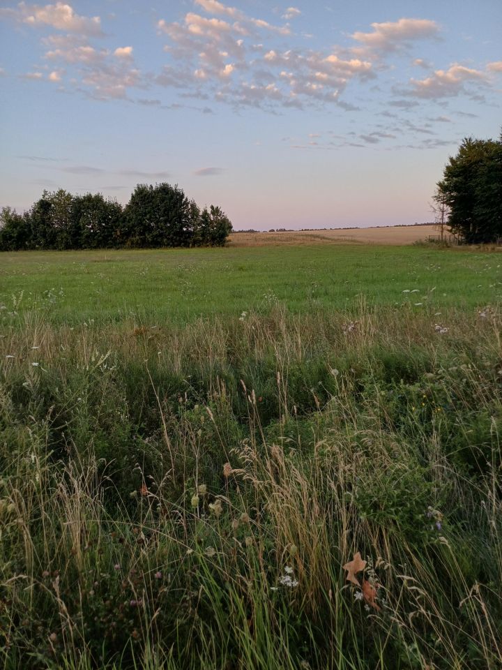 Działka budowlana Buczek. Zdjęcie 2