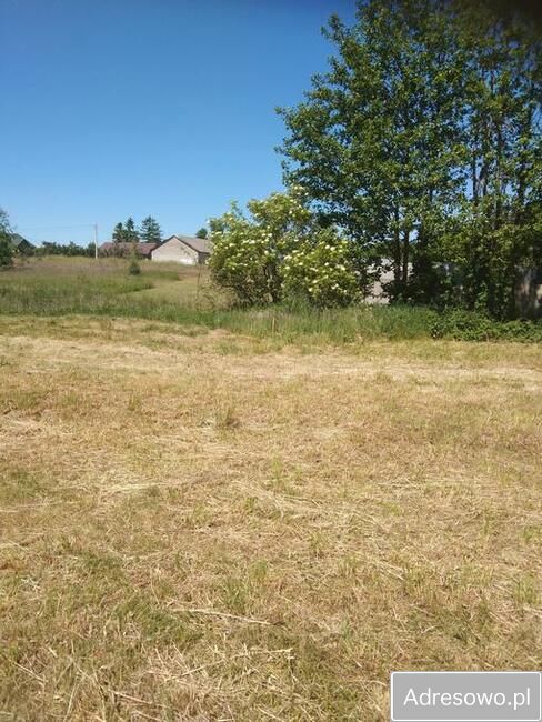 Działka rolno-budowlana Brudzeń Mały. Zdjęcie 6