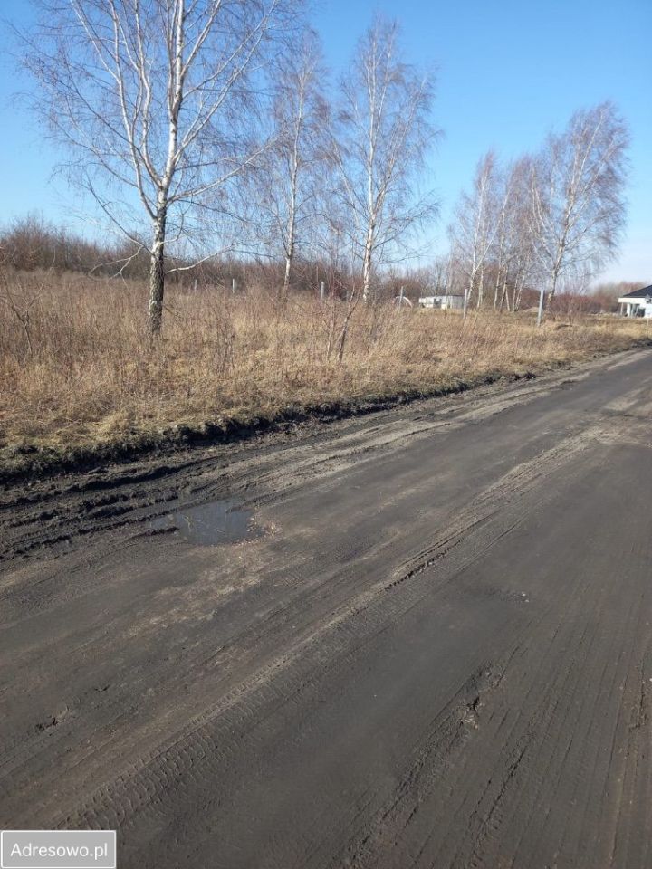 Działka rolna Cerekiew. Zdjęcie 2