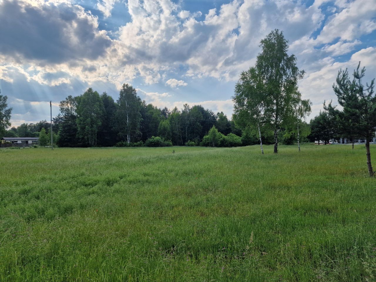 Działka rolno-budowlana Rudnik Wielki, ul. Gajowa. Zdjęcie 6