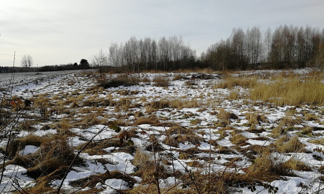 Działka budowlana Gady. Zdjęcie 4