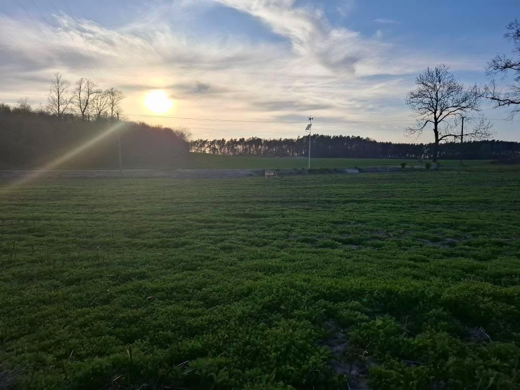 Działka budowlana Pawłowo. Zdjęcie 7