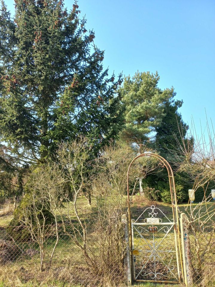 Działka rod Szczecin Krzekowo, ul. Waleriana Łukasińskiego. Zdjęcie 6