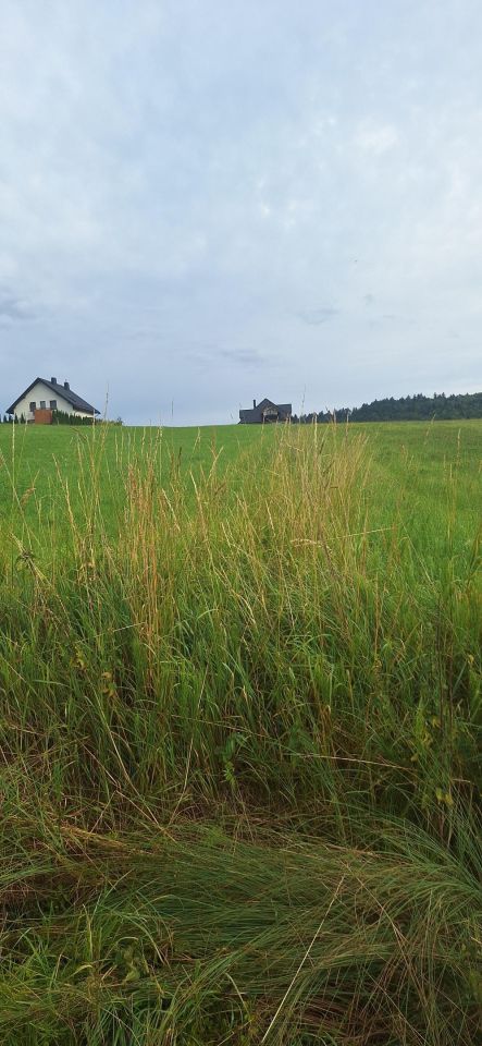Działka budowlana Siedlce. Zdjęcie 4