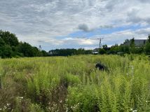 Działka budowlana Byszewy. Zdjęcie 2