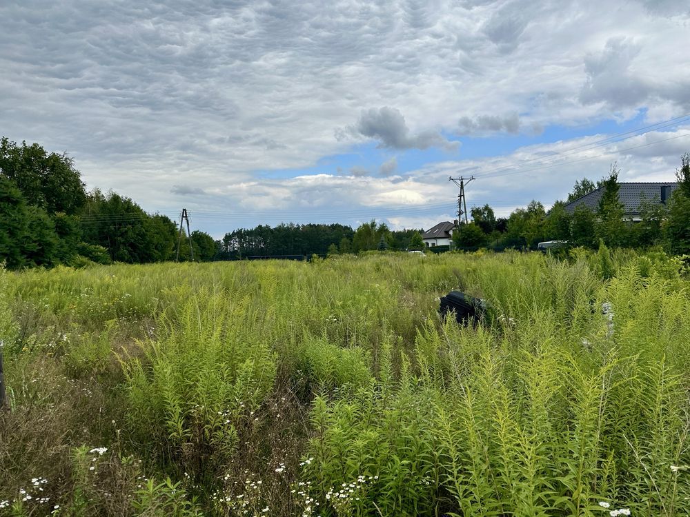 Działka budowlana Byszewy. Zdjęcie 3