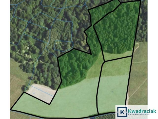 Działka rolna Lutcza. Zdjęcie 12
