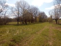 Działka rolno-budowlana Przęsławice. Zdjęcie 4