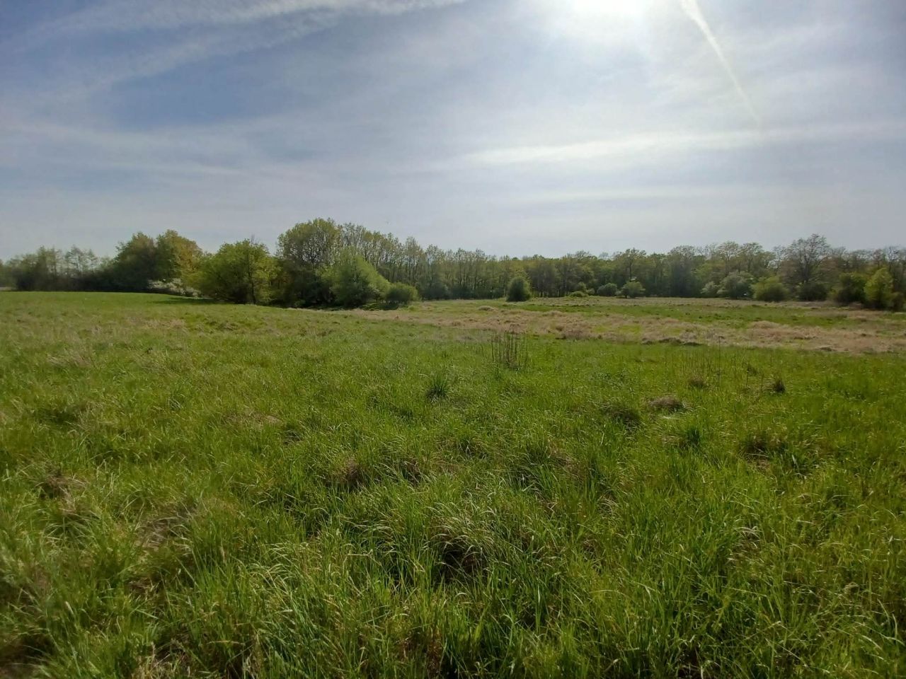 Działka rolna Gliniany. Zdjęcie 6