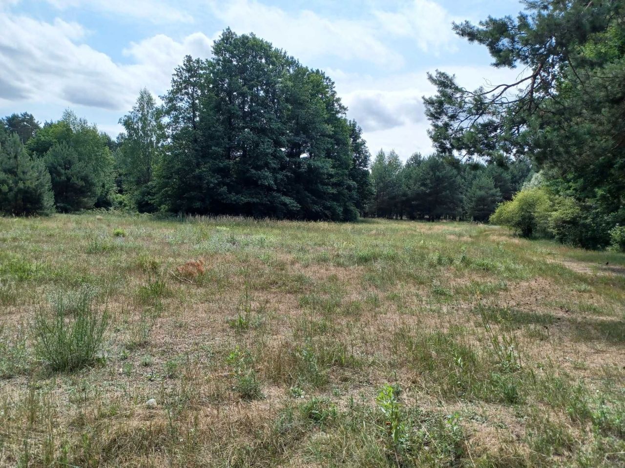 Działka budowlana Prostki Bogusze. Zdjęcie 3