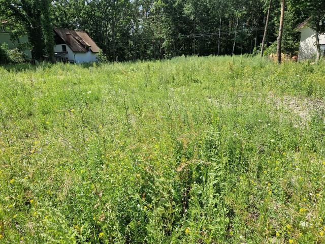 Działka budowlana Zielonka. Zdjęcie 5