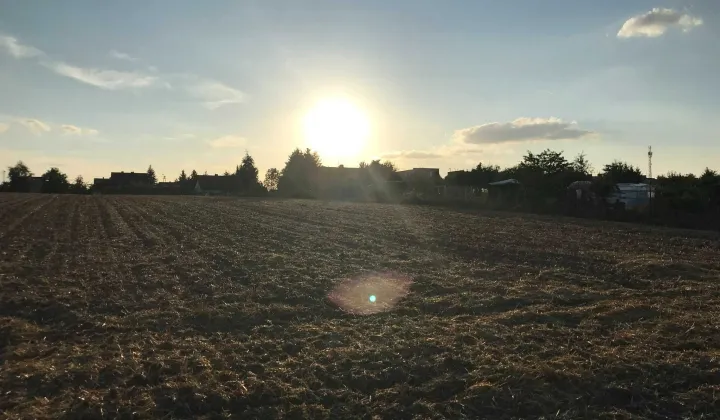 Działka budowlana Kaźmierz, ul. Nowowiejska