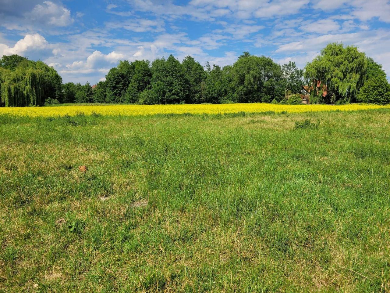 Działka budowlana Poniatowice. Zdjęcie 6