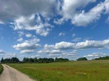 Działka budowlana Borki. Zdjęcie 2