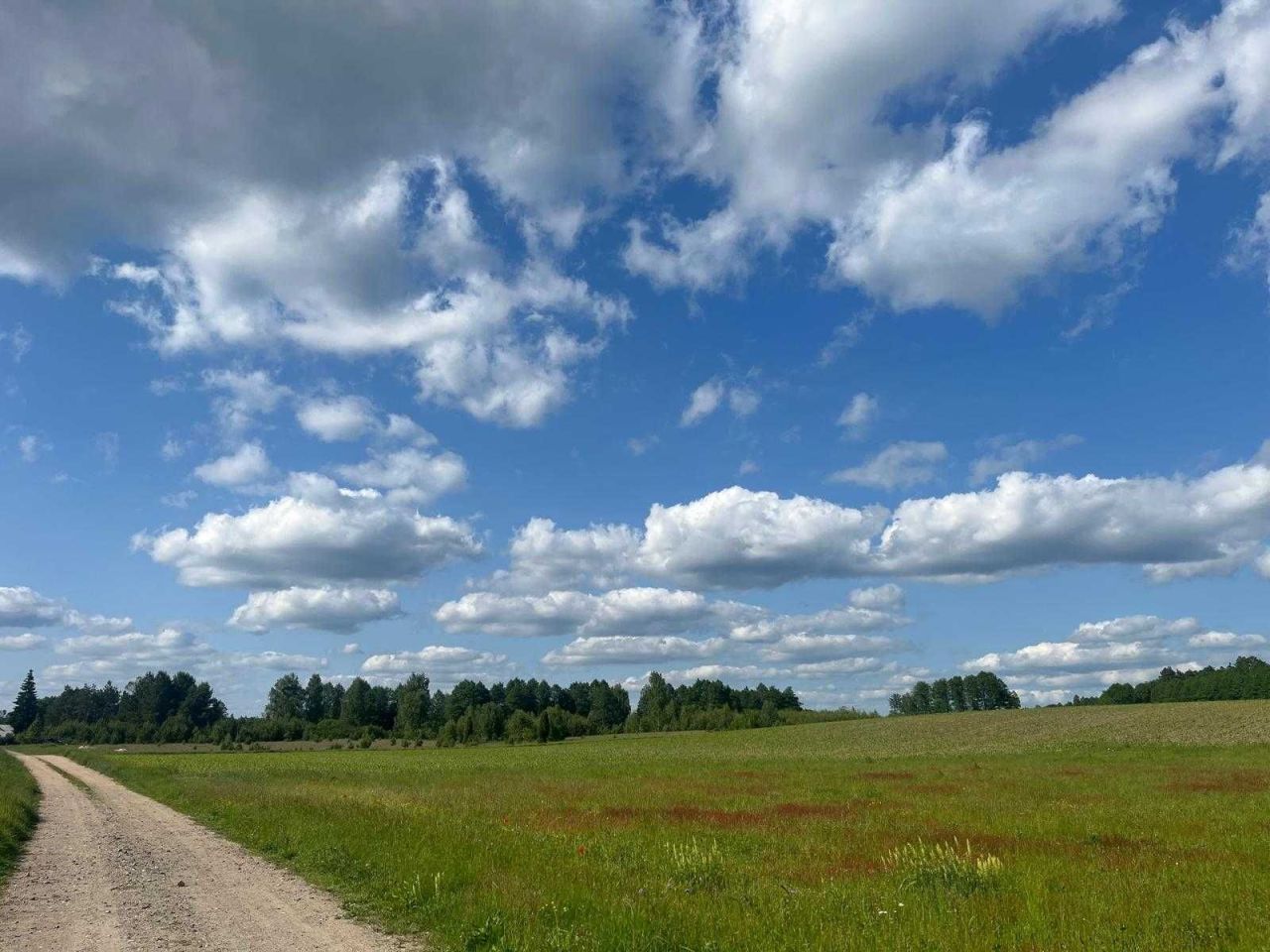 Działka budowlana Borki. Zdjęcie 3