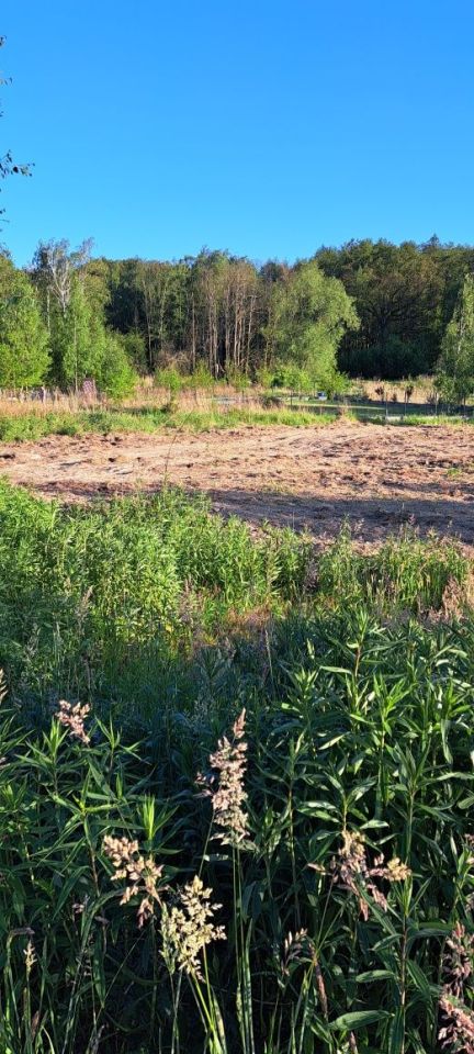 Działka budowlana Ciechów Buczki, ul. Dębowa. Zdjęcie 2