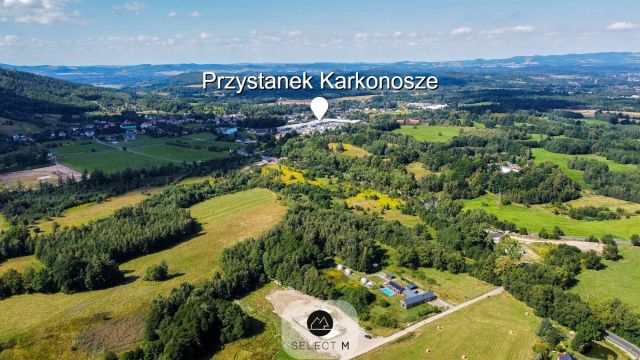 Działka budowlana Ściegny. Zdjęcie 5