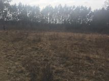 Działka rolno-budowlana Topolina, ul. Graniczna. Zdjęcie 3