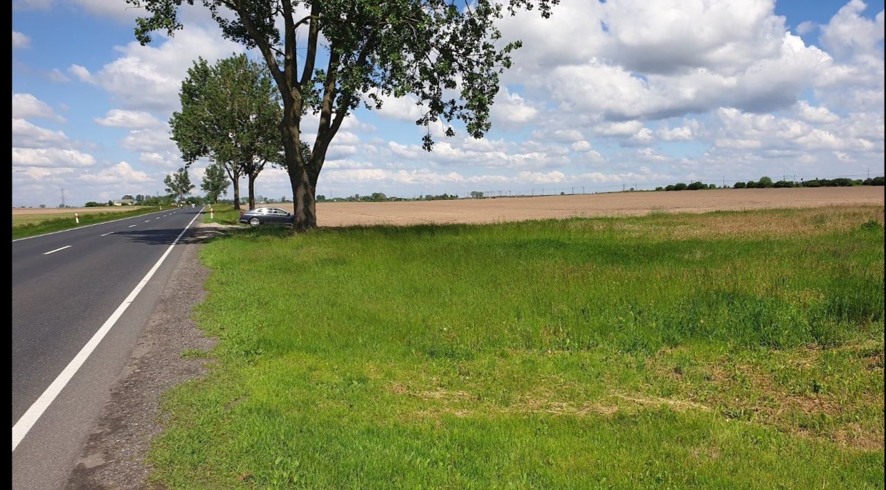 Działka rolno-budowlana Brzoza. Zdjęcie 2