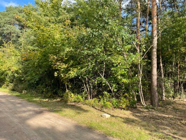 Działka budowlana Borowa Góra. Zdjęcie 1