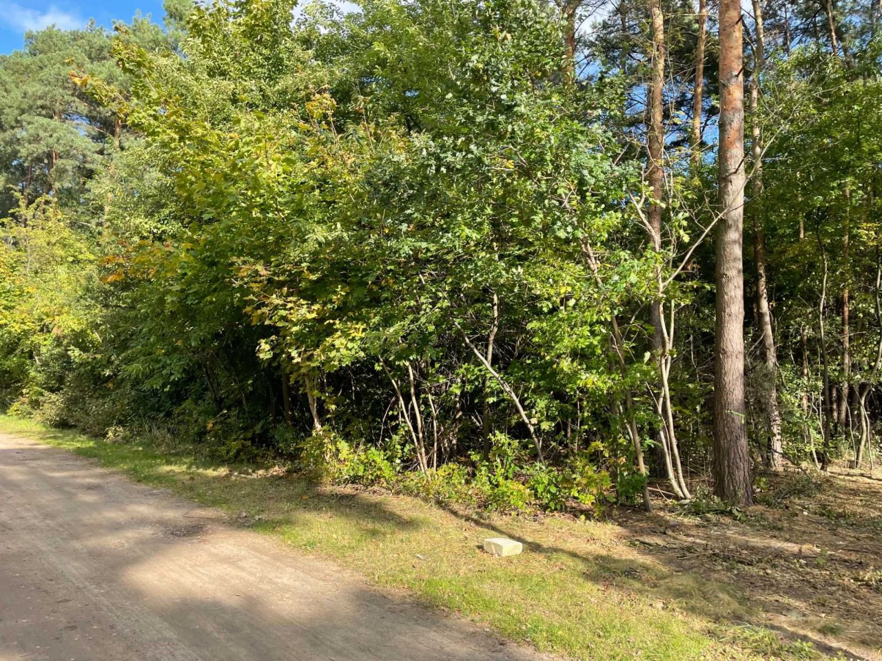 Działka budowlana Borowa Góra