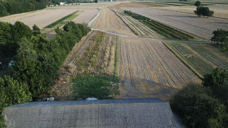 siedlisko Szczuczki. Zdjęcie 2