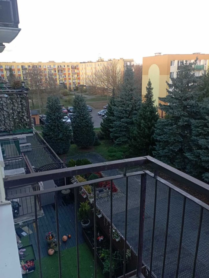 Mieszkanie 1-pokojowe Bydgoszcz Fordon