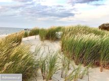 dom szeregowy, 7 pokoi Przewłoka, ul. Konstantego Ildefonsa Gałczyńskiego. Zdjęcie 1