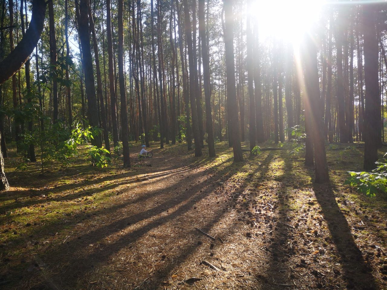 dom szeregowy, 4 pokoje Łajski, ul. Kościelna. Zdjęcie 21