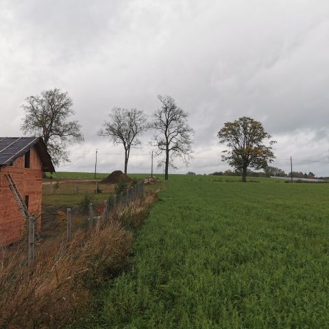 Działka budowlana Łąkie. Zdjęcie 14