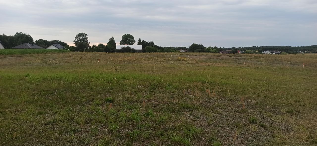 Działka budowlana Tołcze, ul. Leszczynowa. Zdjęcie 5