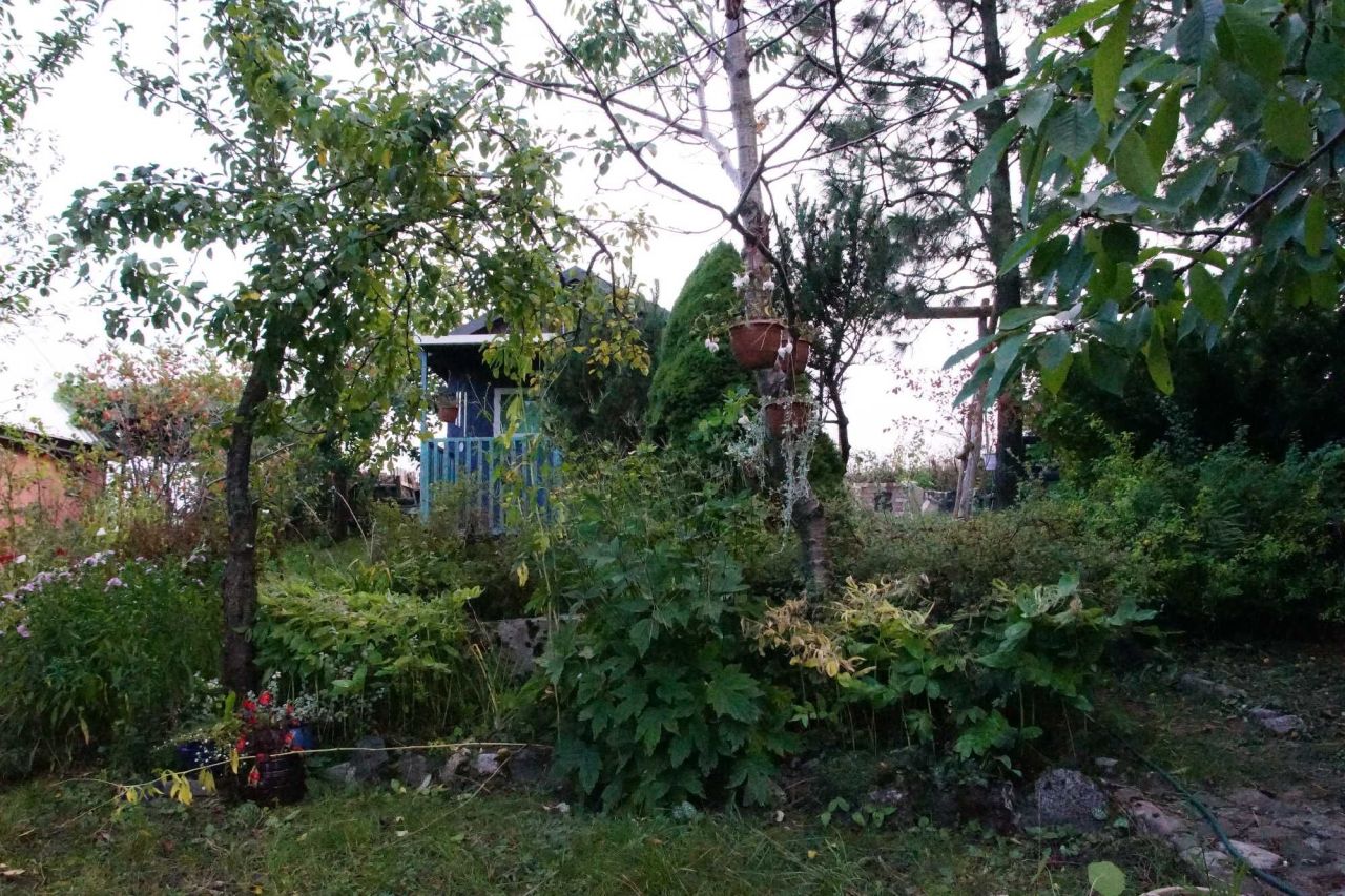 Działka rod Olecko. Zdjęcie 3