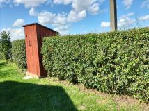 Działka rod Iłża, ul. Zuchowiec. Zdjęcie 3