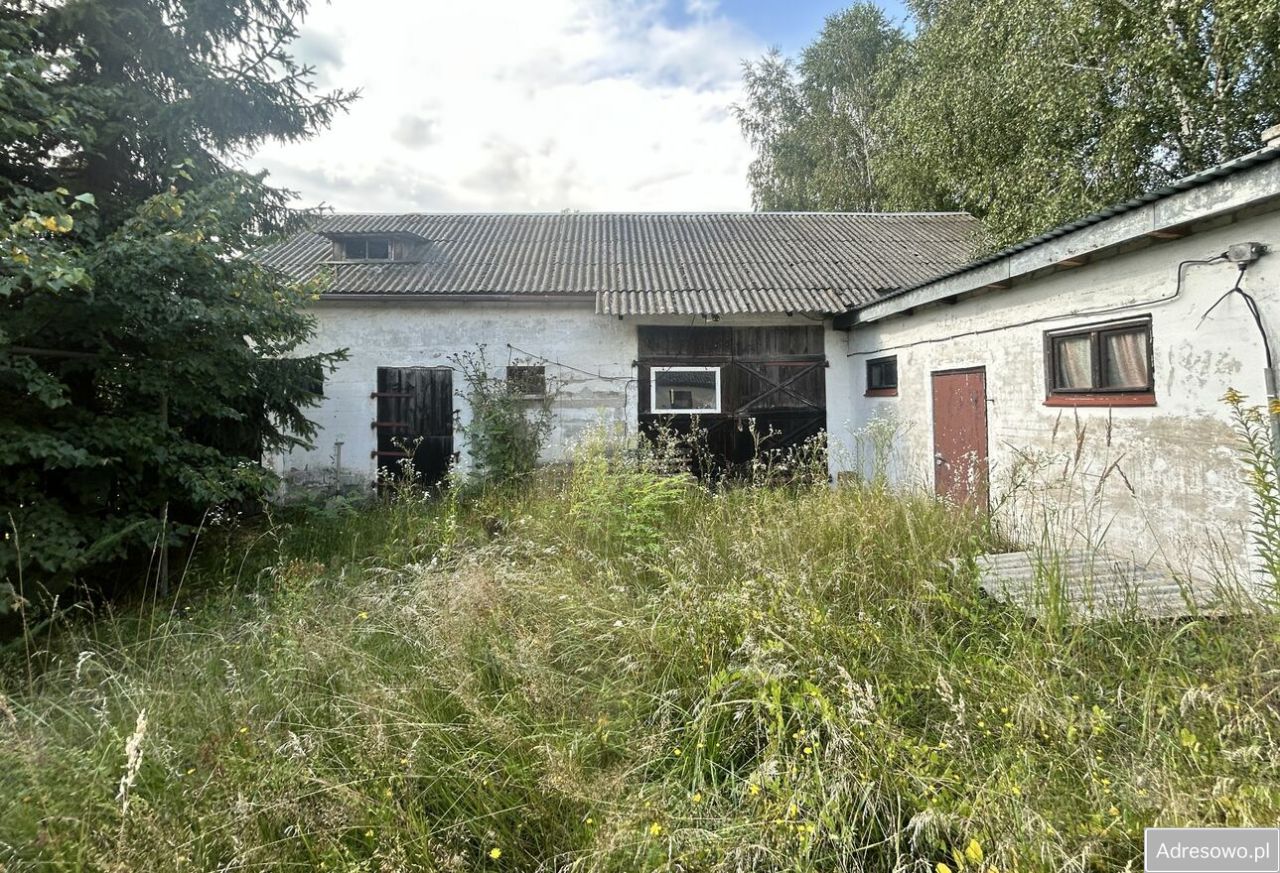 siedlisko, 3 pokoje Liszno. Zdjęcie 7