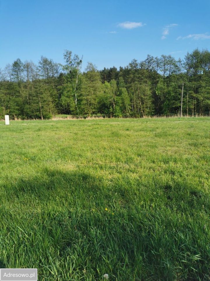 Działka budowlana Tuchola. Zdjęcie 8