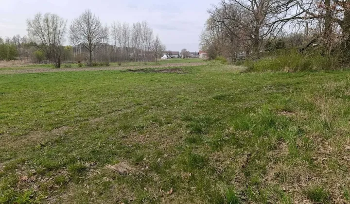 Działka rekreacyjna Lipinki