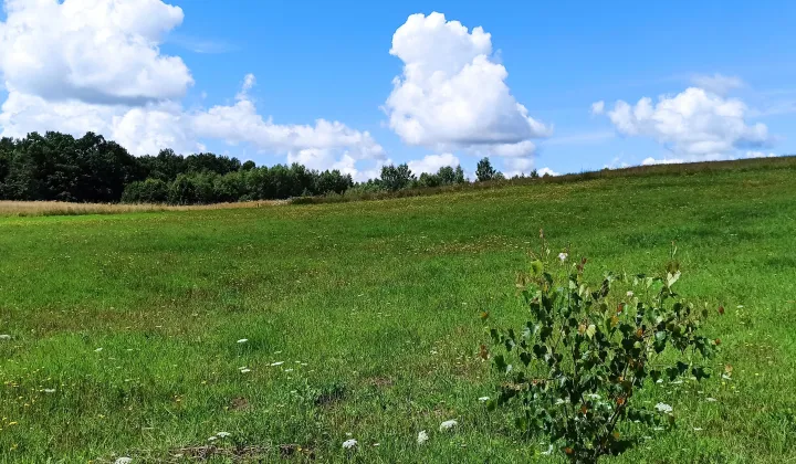 Działka budowlana Bieszkowice Krystkowo, ul. Piecewska