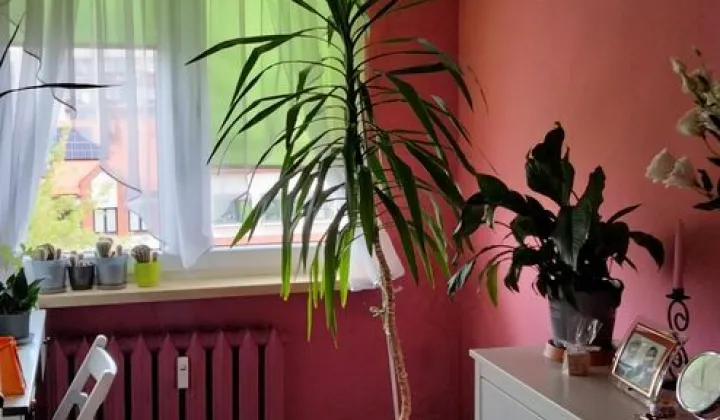 Mieszkanie 3-pokojowe Myszków, ul. Sikorskiego