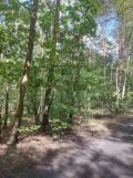 Działka leśna Czerwonka-Gozdów. Zdjęcie 4