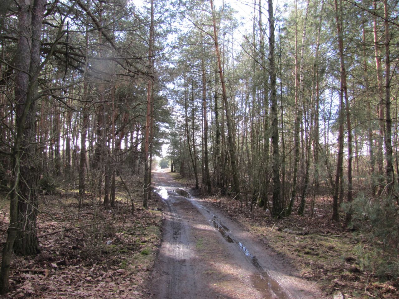Działka Stanisławów Drugi, ul. Wolska. Zdjęcie 4