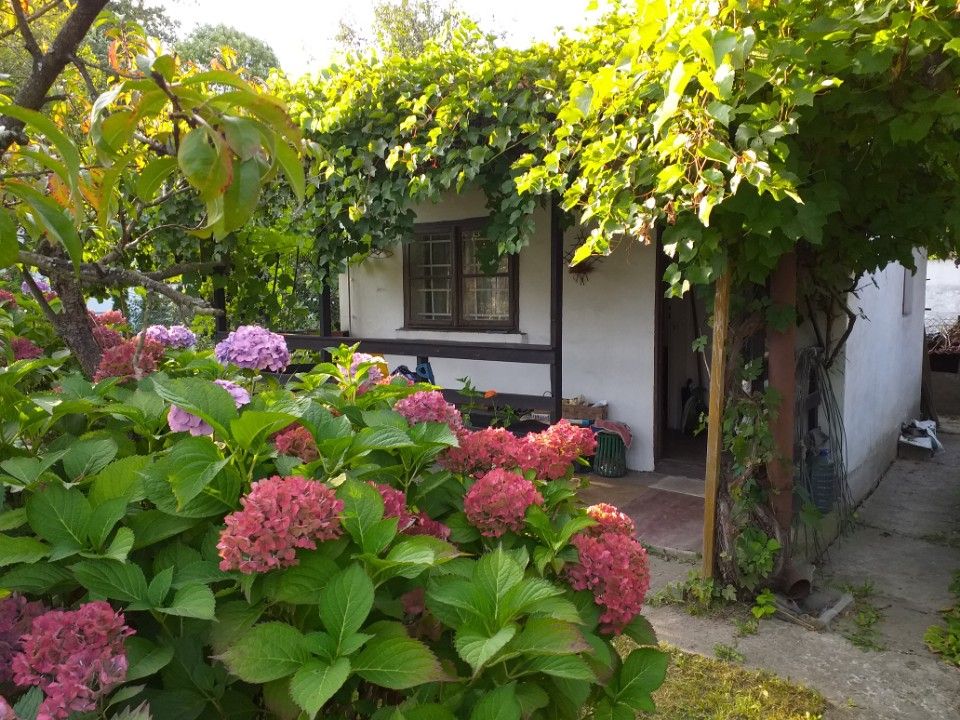 Działka rod Balice. Zdjęcie 2