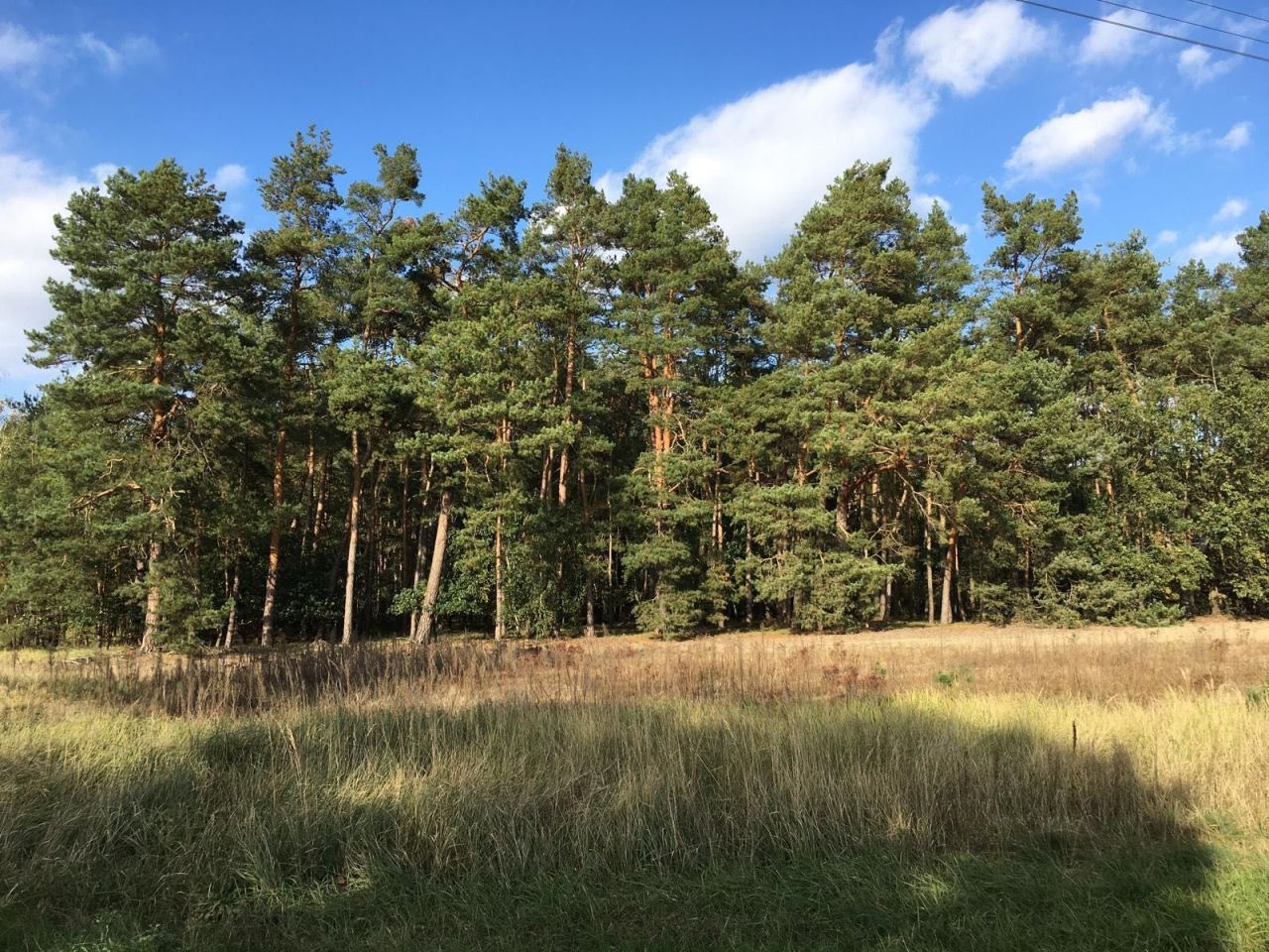 Działka siedliskowa Młyniska. Zdjęcie 5