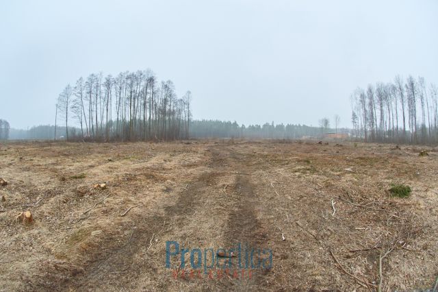 Działka budowlana Opaleniec. Zdjęcie 8