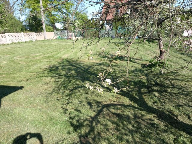 Działka inwestycyjna Rogów Sobócki, ul. Wrocławska. Zdjęcie 1