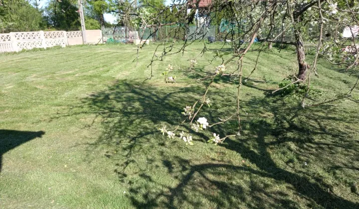 Działka inwestycyjna Rogów Sobócki, ul. Wrocławska