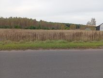 Działka budowlana Iwiec. Zdjęcie 2