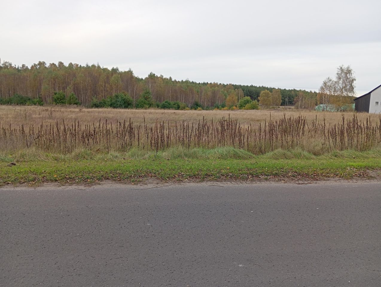 Działka budowlana Iwiec. Zdjęcie 3